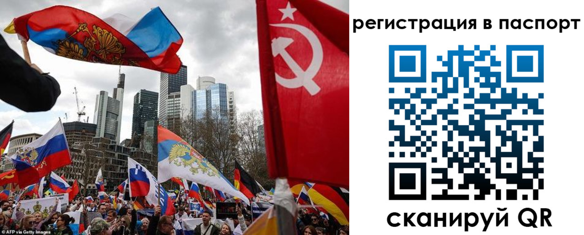 временная регистрация поиск в Красногорске